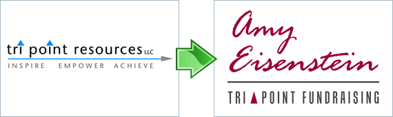 Amy Eisenstein - logo comparison