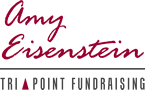 Amy Eisenstein - Logo